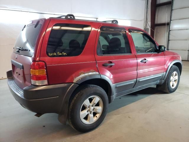 2004 Ford Escape XLT