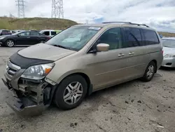 Honda Odyssey exl salvage cars for sale: 2005 Honda Odyssey EXL