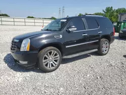 Salvage cars for sale at Barberton, OH auction: 2011 Cadillac Escalade