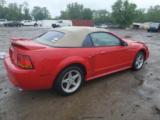 1999 Ford Mustang Cobra SVT