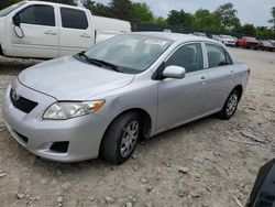 Salvage cars for sale at Madisonville, TN auction: 2009 Toyota Corolla Base