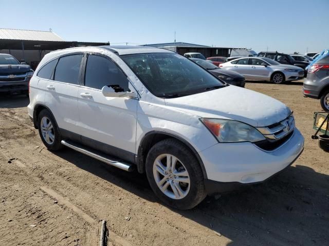 2010 Honda CR-V EXL