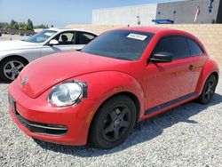 Salvage cars for sale at Mentone, CA auction: 2014 Volkswagen Beetle
