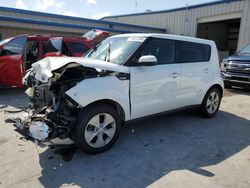 Salvage cars for sale at Fort Pierce, FL auction: 2014 KIA Soul