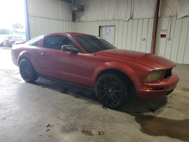 2005 Ford Mustang