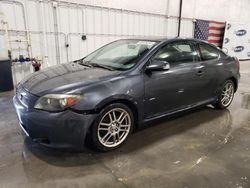 Salvage cars for sale at Avon, MN auction: 2006 Scion TC