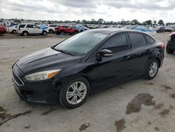 Ford Focus SE salvage cars for sale: 2016 Ford Focus SE