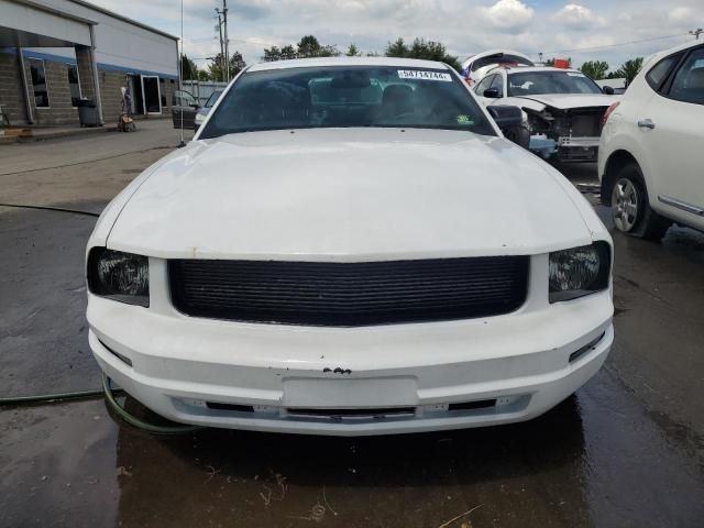 2005 Ford Mustang