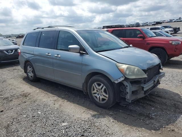 2005 Honda Odyssey EXL