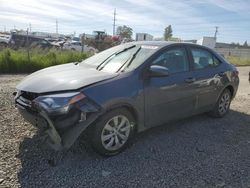 Salvage cars for sale at Eugene, OR auction: 2015 Toyota Corolla L