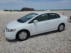 2008 Honda Civic Hybrid