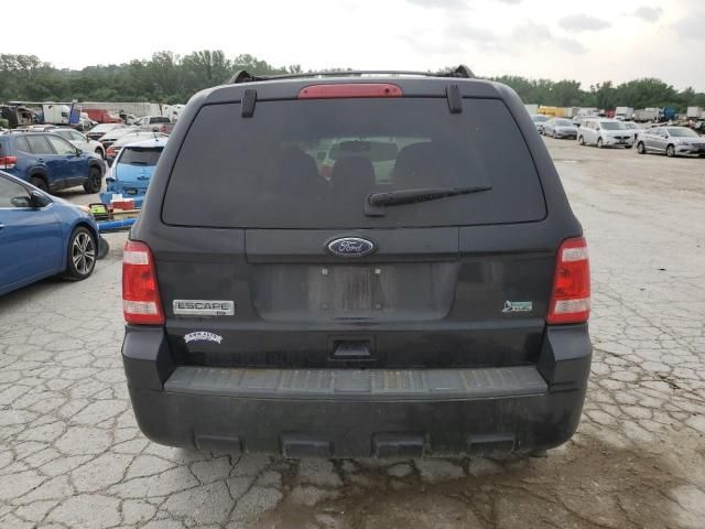 2011 Ford Escape XLT