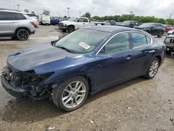 Salvage cars for sale at Indianapolis, IN auction: 2014 Nissan Maxima S