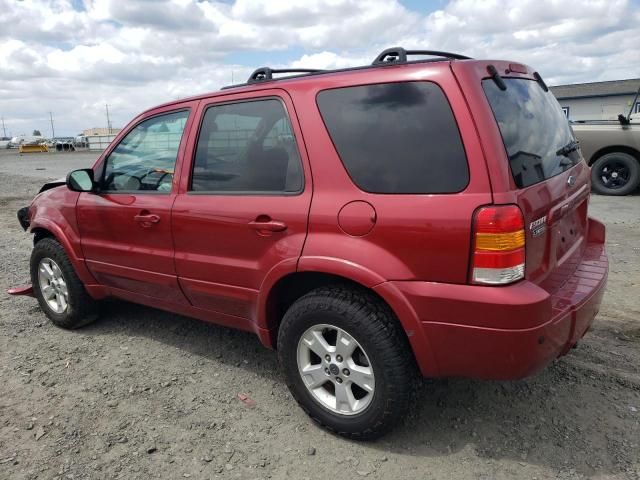 2005 Ford Escape Limited