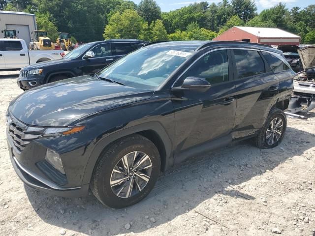 2023 Hyundai Tucson Blue