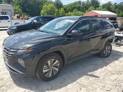 2023 Hyundai Tucson Blue en venta en Mendon, MA