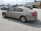 2006 Nissan Maxima SE