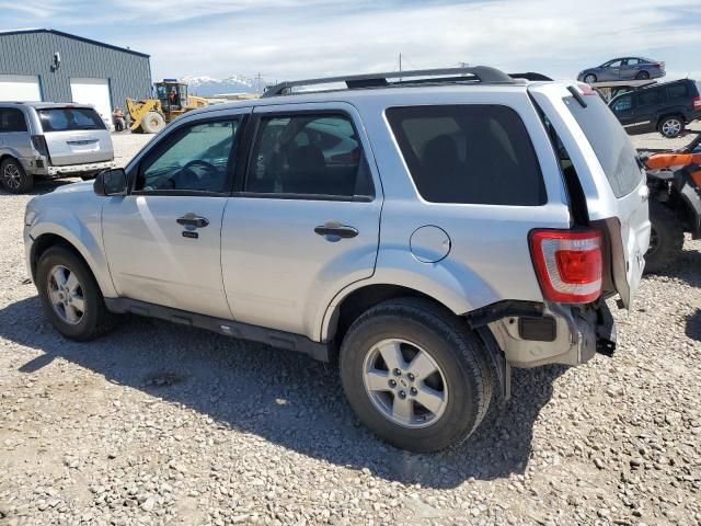 2010 Ford Escape XLT