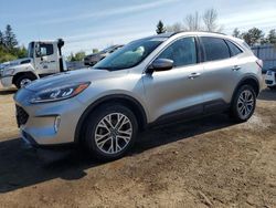 Salvage cars for sale at Bowmanville, ON auction: 2021 Ford Escape SEL