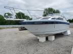 1987 Bayliner Marine Lot