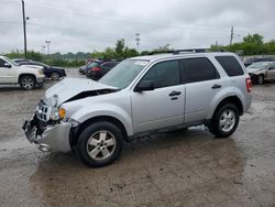 Salvage cars for sale at Indianapolis, IN auction: 2011 Ford Escape XLT