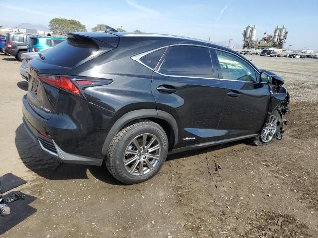 2020 Lexus NX 300H