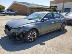 Salvage cars for sale at Hayward, CA auction: 2023 Nissan Altima SV