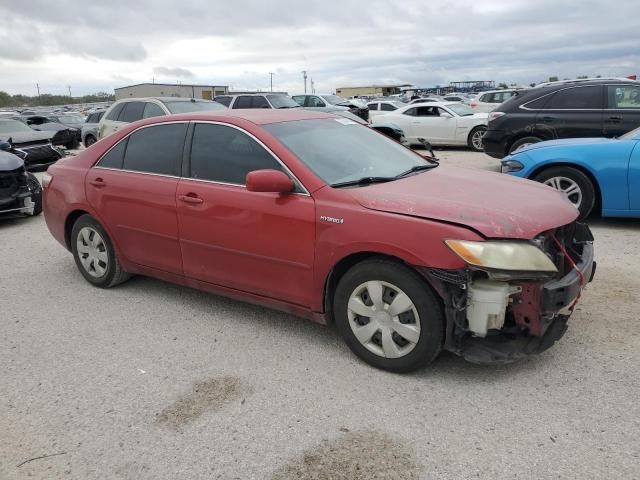 2009 Toyota Camry Hybrid