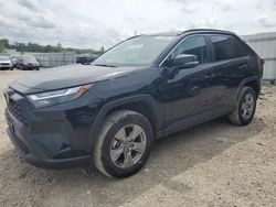 Salvage cars for sale at Kansas City, KS auction: 2024 Toyota Rav4 XLE