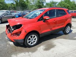 Salvage cars for sale from Copart Ellwood City, PA: 2019 Ford Ecosport SE