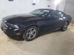 Salvage cars for sale at Longview, TX auction: 2014 Ford Mustang