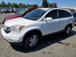 Salvage cars for sale from Copart Martinez, CA: 2011 Honda CR-V EXL