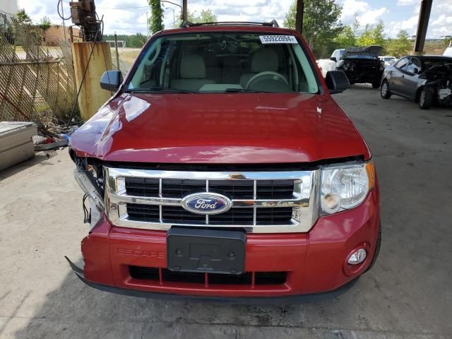 2011 Ford Escape XLT