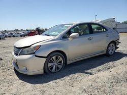 Salvage cars for sale from Copart Sacramento, CA: 2011 Lexus HS 250H