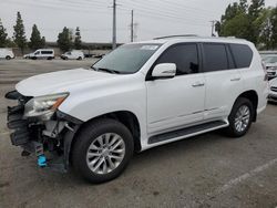 Salvage cars for sale from Copart Rancho Cucamonga, CA: 2014 Lexus GX 460