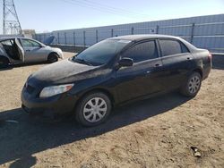 Salvage cars for sale at Adelanto, CA auction: 2010 Toyota Corolla Base