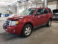 Salvage cars for sale at Blaine, MN auction: 2011 Ford Escape XLT
