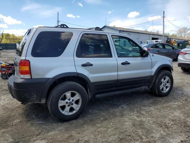 2006 Ford Escape XLT