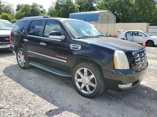 2009 Cadillac Escalade Hybrid