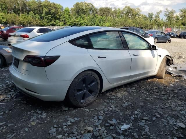 2021 Tesla Model 3