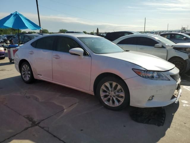 2014 Lexus ES 300H