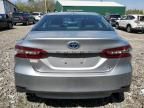 2019 Toyota Camry Hybrid