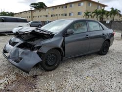 Vehiculos salvage en venta de Copart Opa Locka, FL: 2010 Toyota Corolla Base