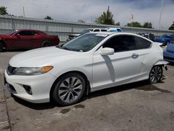 Honda Accord ex salvage cars for sale: 2014 Honda Accord EX