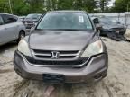 2011 Honda CR-V EXL