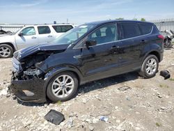 Salvage cars for sale from Copart Earlington, KY: 2019 Ford Escape SE