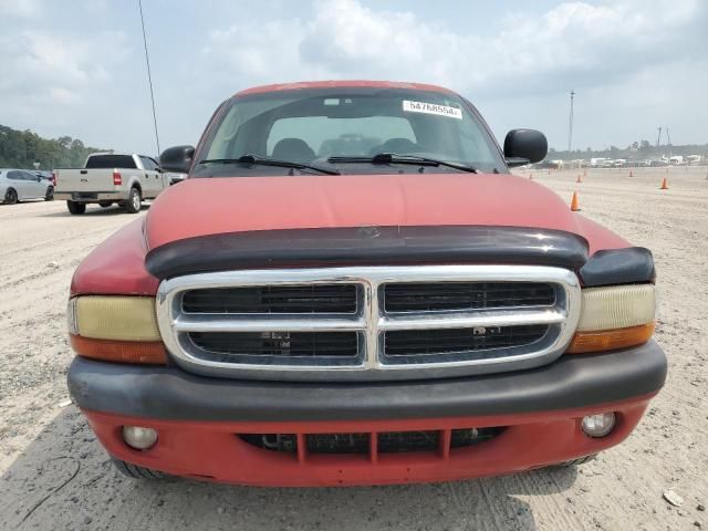 2003 Dodge Dakota Quad Sport