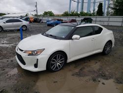 Salvage cars for sale from Copart Windsor, NJ: 2016 Scion TC