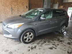 Salvage cars for sale at Ebensburg, PA auction: 2014 Ford Escape SE