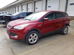 Salvage cars for sale at Louisville, KY auction: 2013 Ford Escape SE